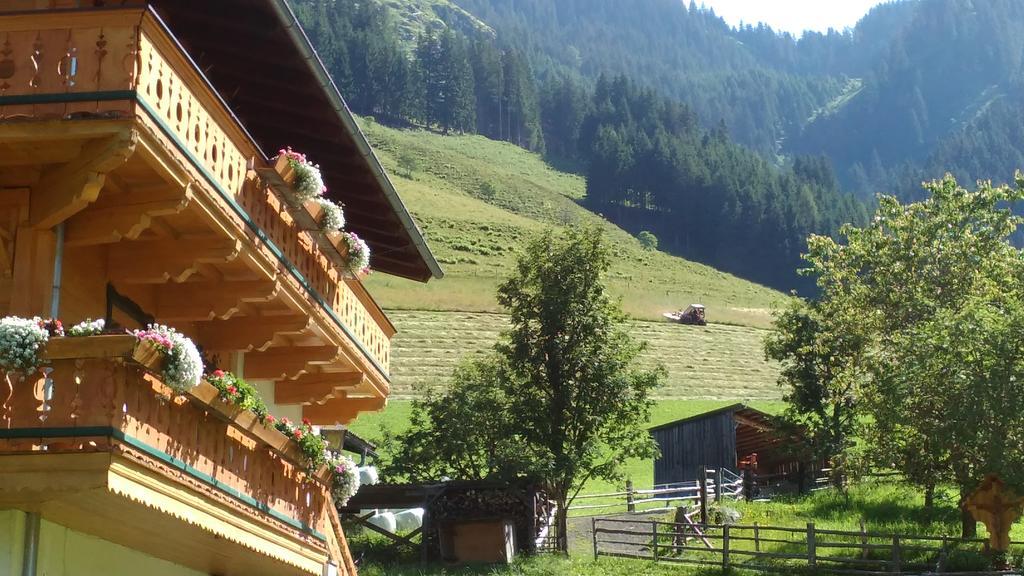 Апартаменты Biobergbauernhof Brandenau Таксенбах Экстерьер фото